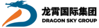 国际网站建设和推广-获客自动化-龙霄国际集团数字营销